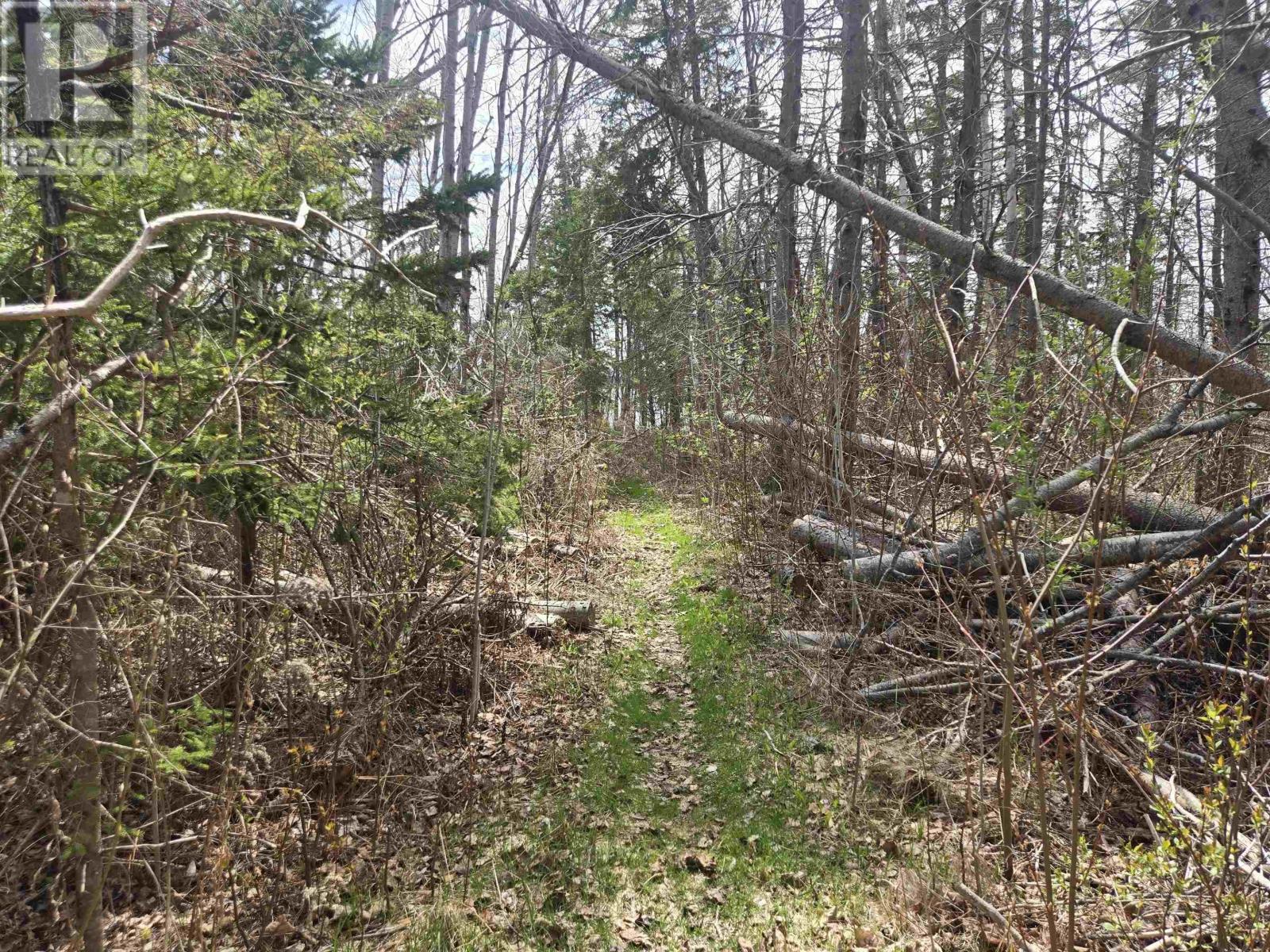 Lot B Malagash Road, Malagash, Nova Scotia  B0K 1E0 - Photo 6 - 202616295