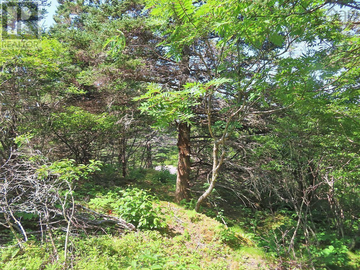 Lot 8 Hwy 316 (Grovers Pt), Cole Harbour, Nova Scotia  B0H 1T0 - Photo 42 - 202616364