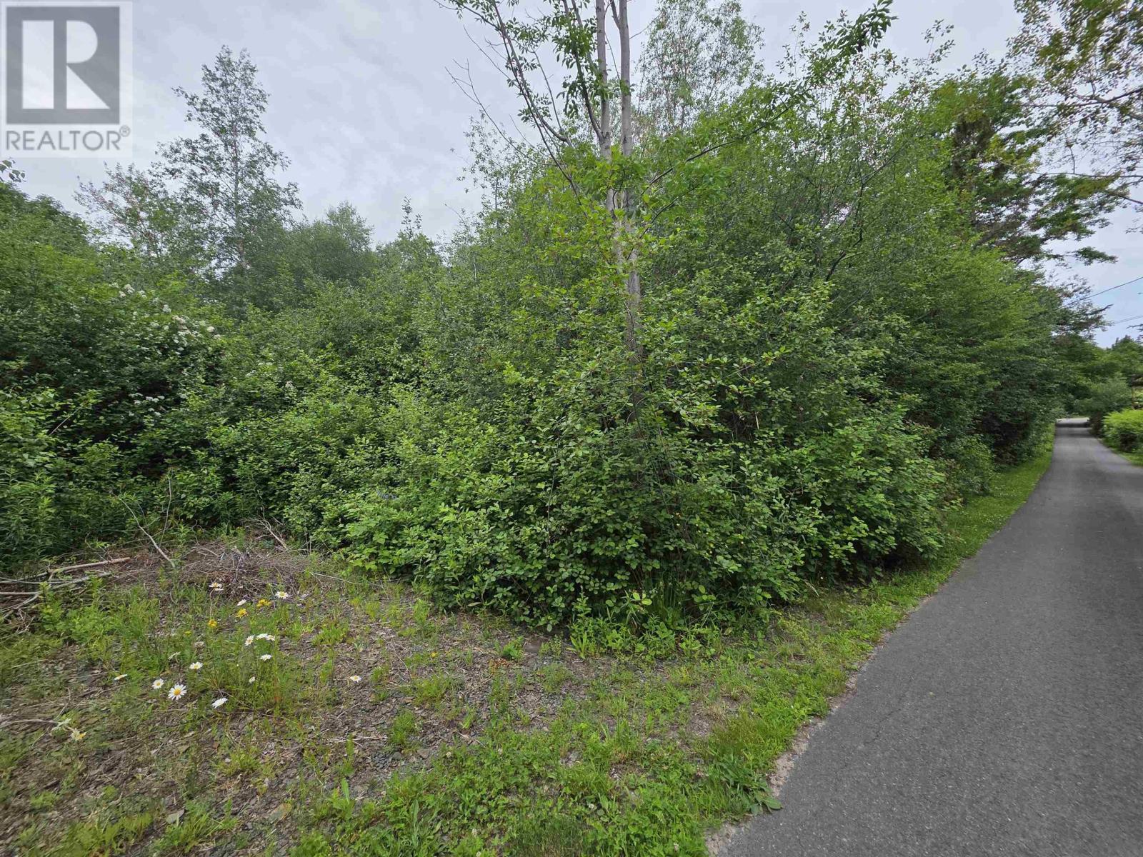 Lots No 1 Highway, Smiths Cove, Nova Scotia  B0S 1S0 - Photo 10 - 202616374