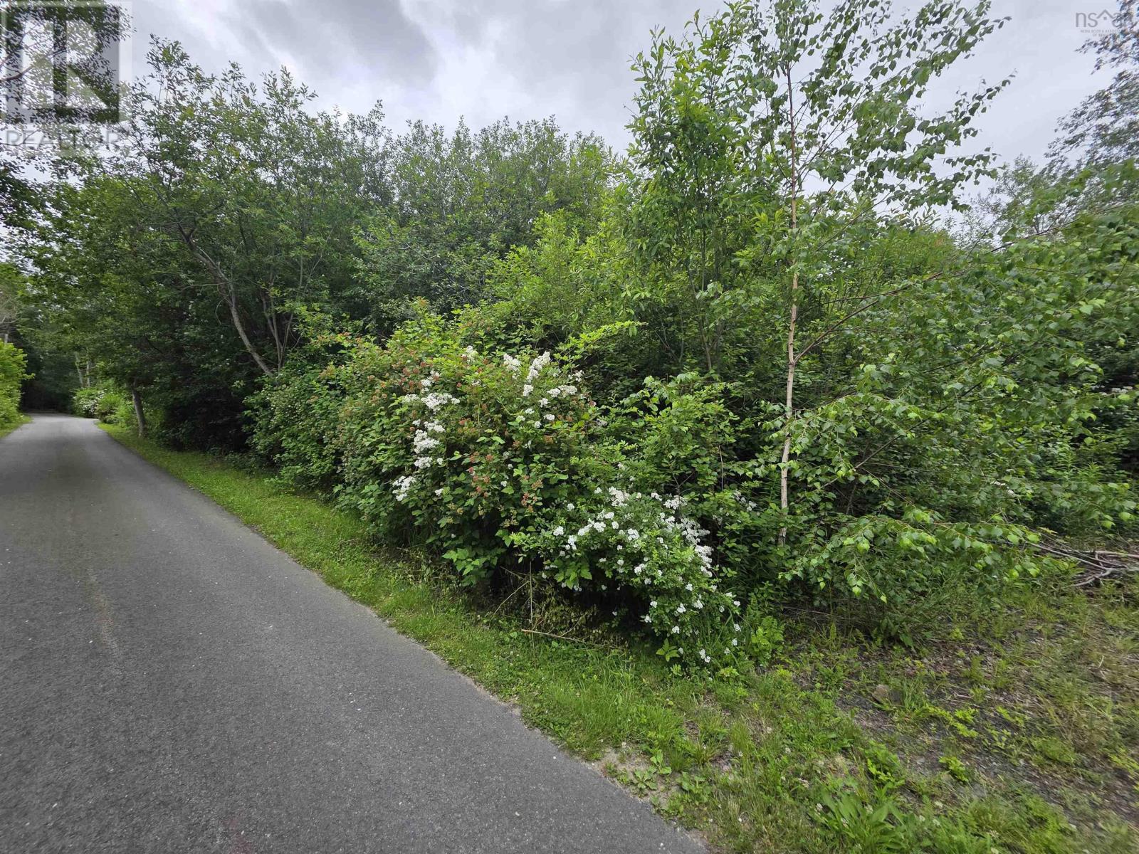 Lots No 1 Highway, Smiths Cove, Nova Scotia  B0S 1S0 - Photo 13 - 202616374