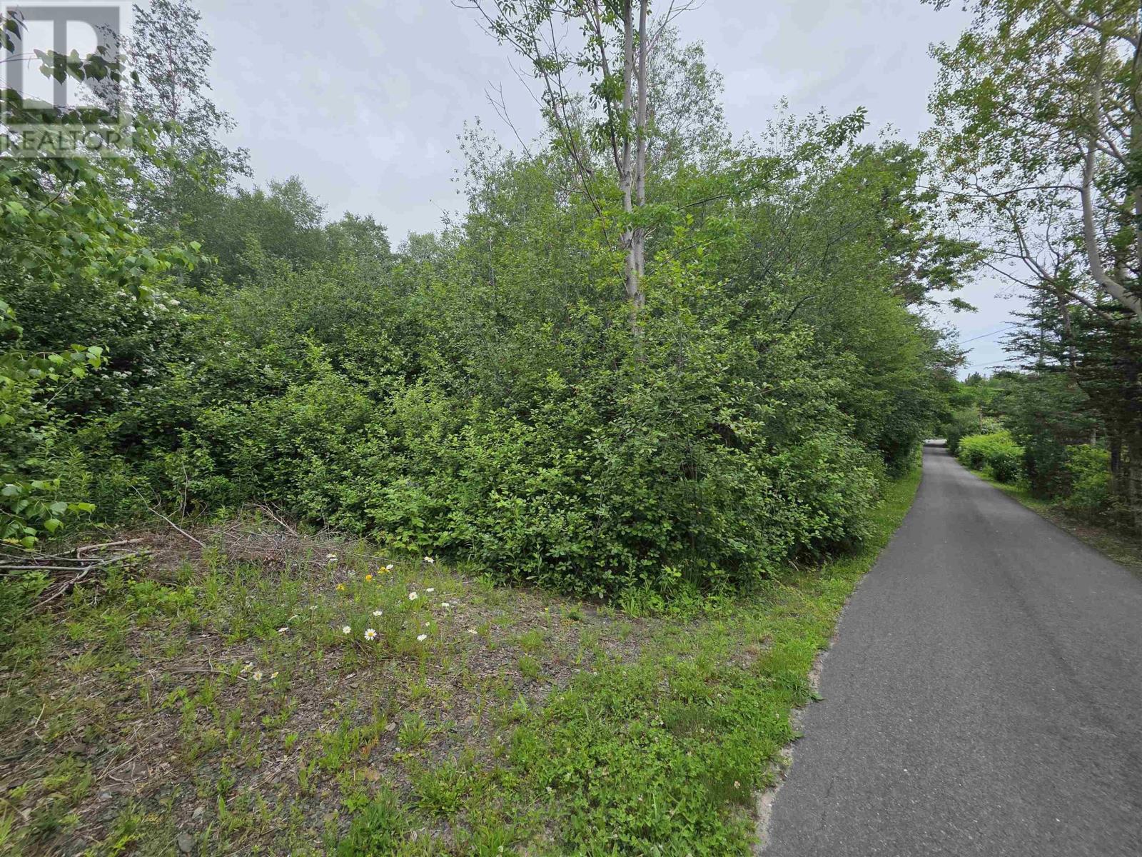 Lots No 1 Highway, Smiths Cove, Nova Scotia  B0S 1S0 - Photo 15 - 202616374