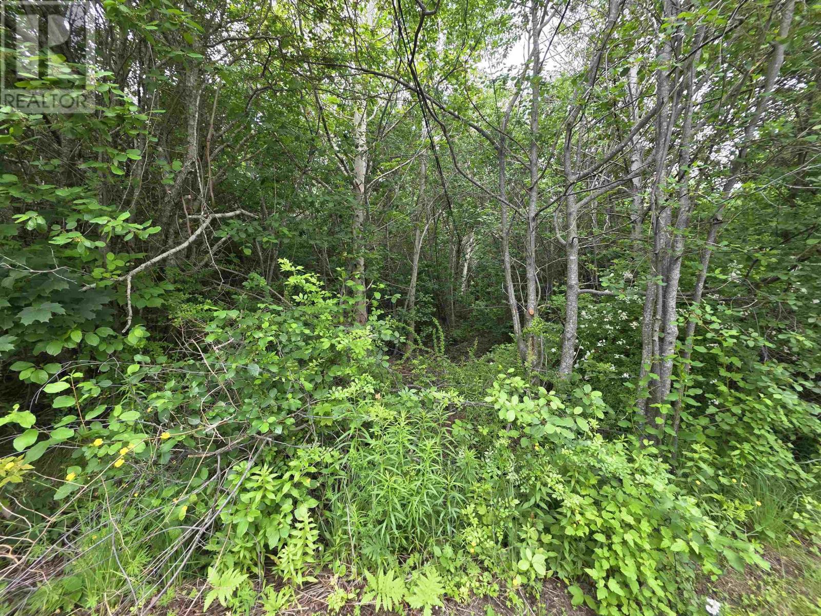 Lots No 1 Highway, Smiths Cove, Nova Scotia  B0S 1S0 - Photo 16 - 202616374