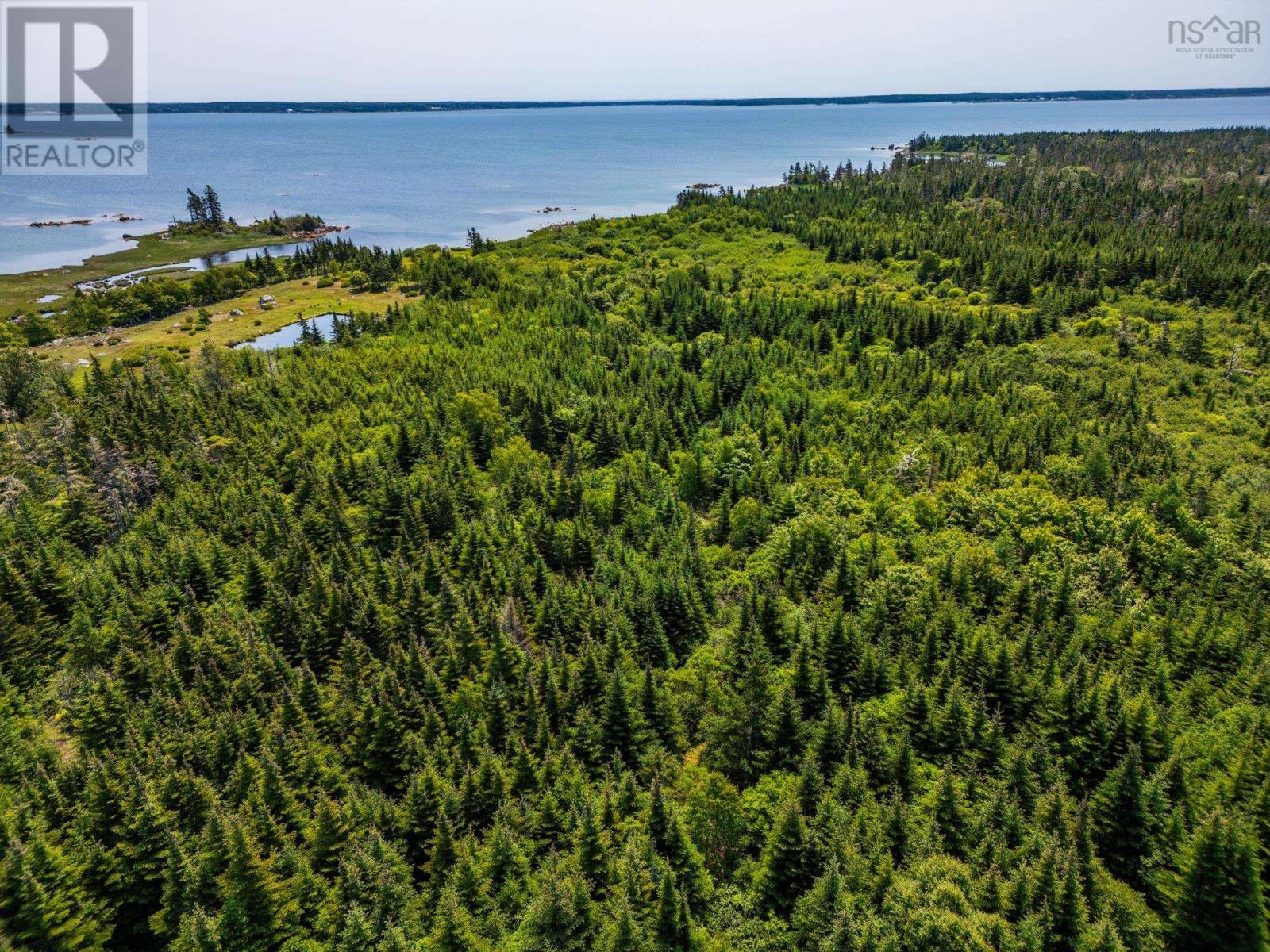 21 Bear Point Road, Bear Point, Nova Scotia  B0W 3B0 - Photo 13 - 202616458