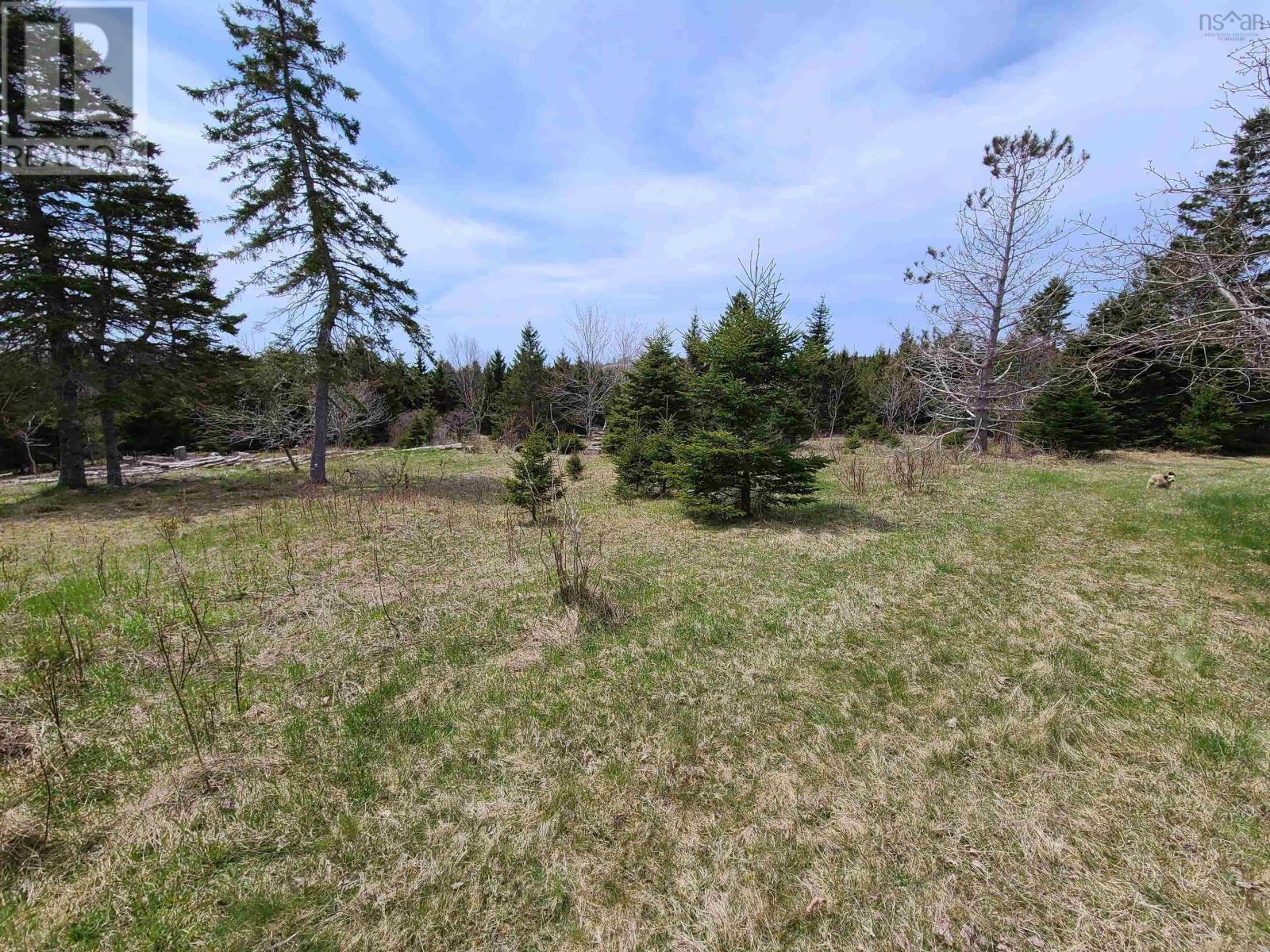 4351 Highway 223, Iona, Nova Scotia  B2C 1A1 - Photo 4 - 202616524