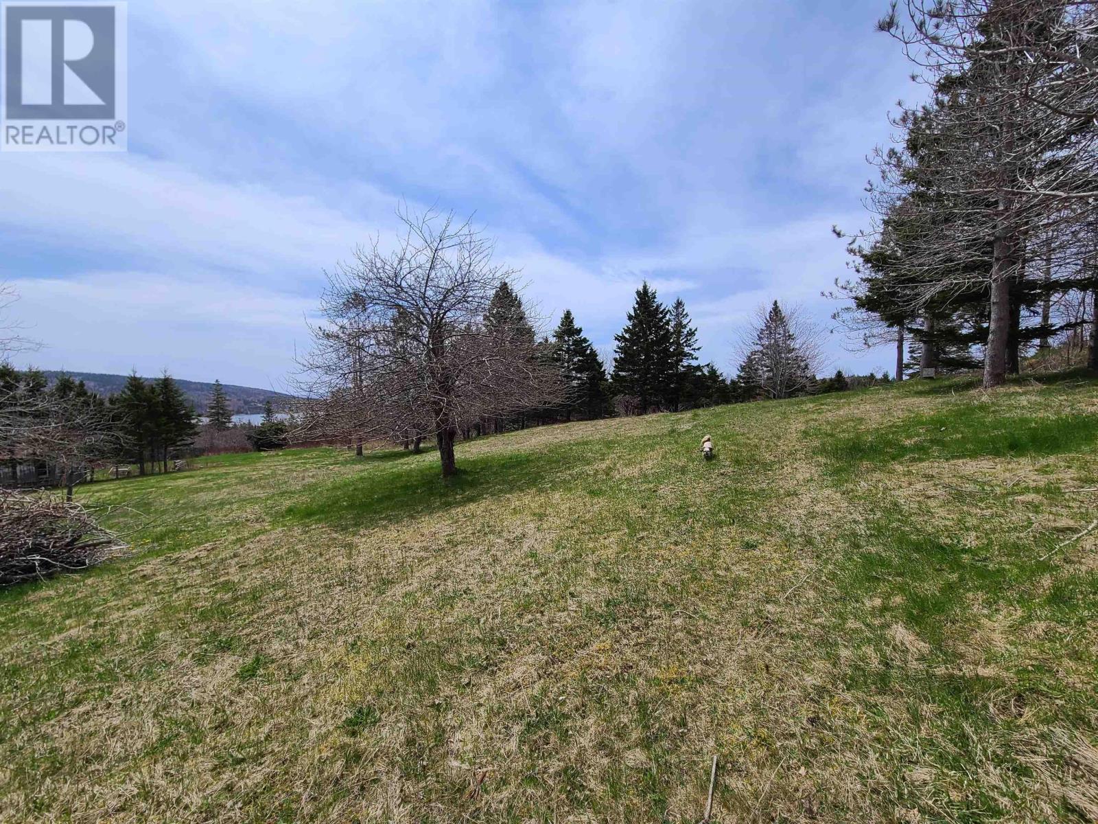 4351 Highway 223, Iona, Nova Scotia  B2C 1A1 - Photo 5 - 202616524
