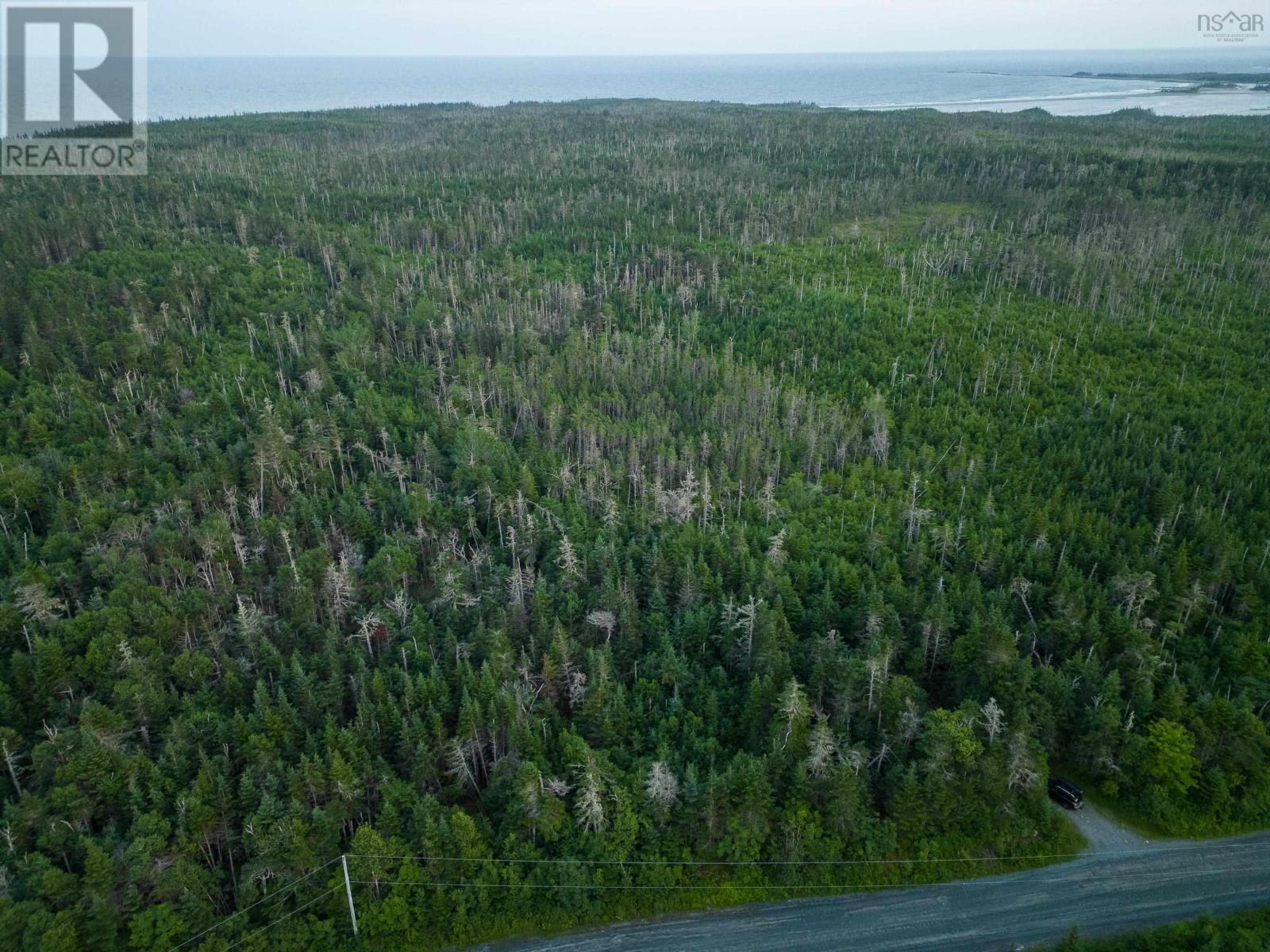 Back Acres Conrod Beach Road, Lower East Chezzetcook, Nova Scotia  B0J 2L0 - Photo 10 - 202616671