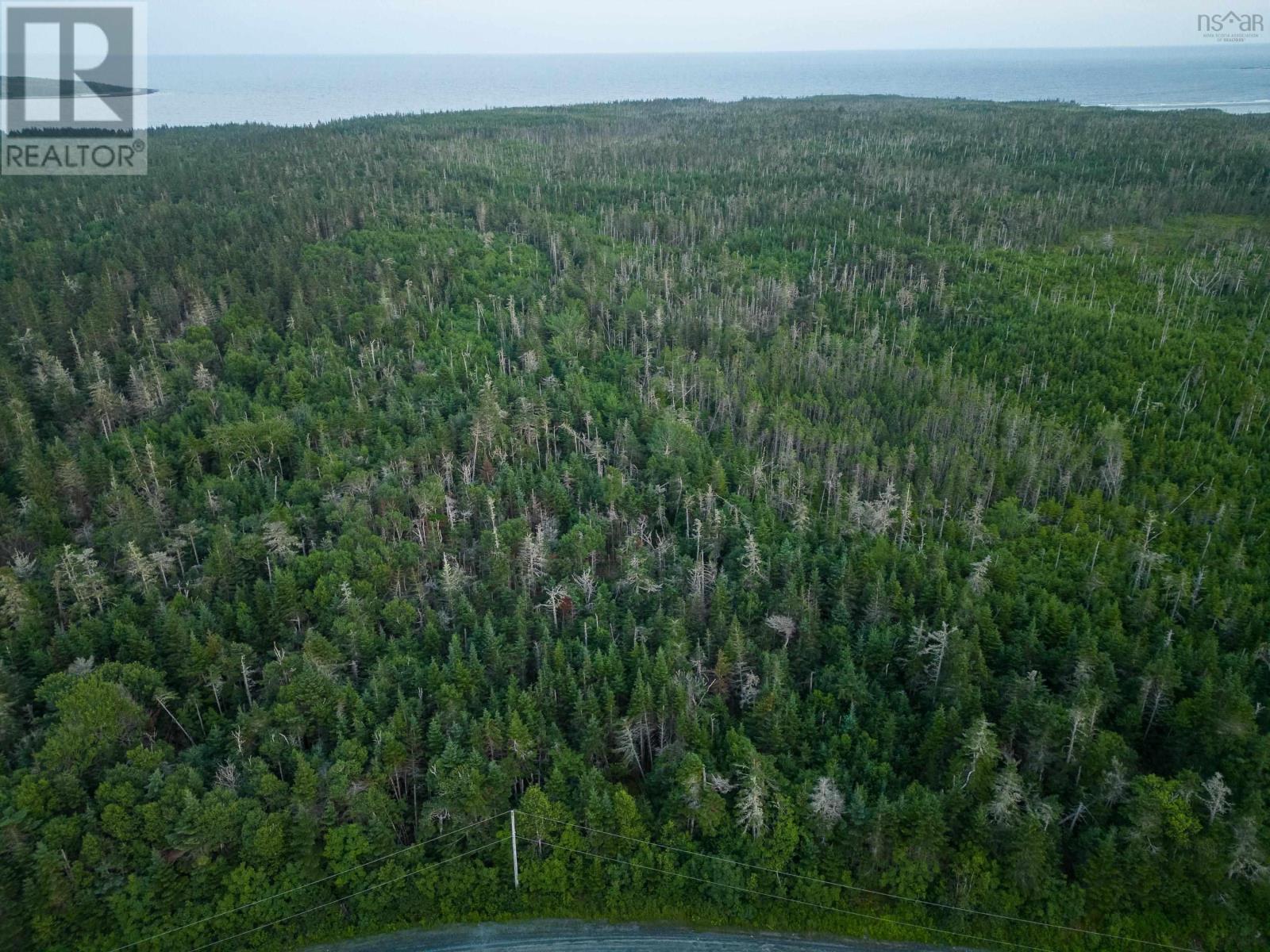 Back Acres Conrod Beach Road, Lower East Chezzetcook, Nova Scotia  B0J 2L0 - Photo 11 - 202616671