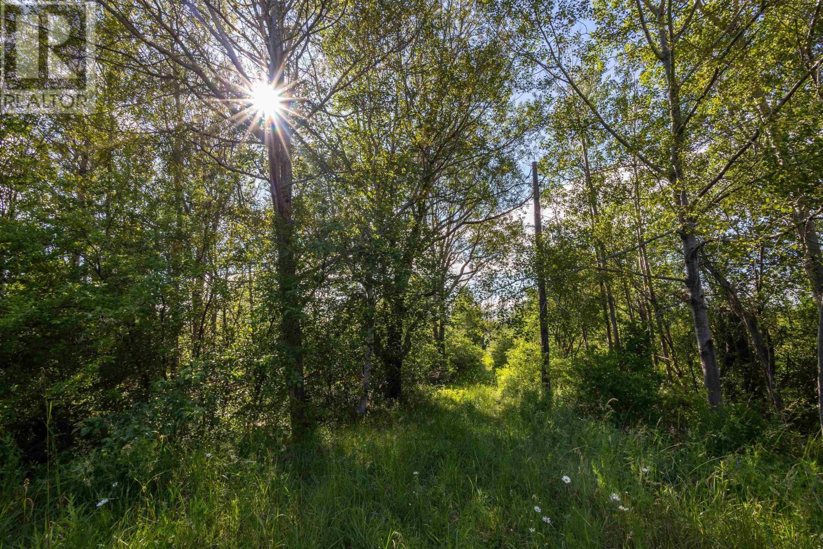 7984 East Bay Highway, Big Pond, Nova Scotia  B1J 1Z4 - Photo 14 - 202616701