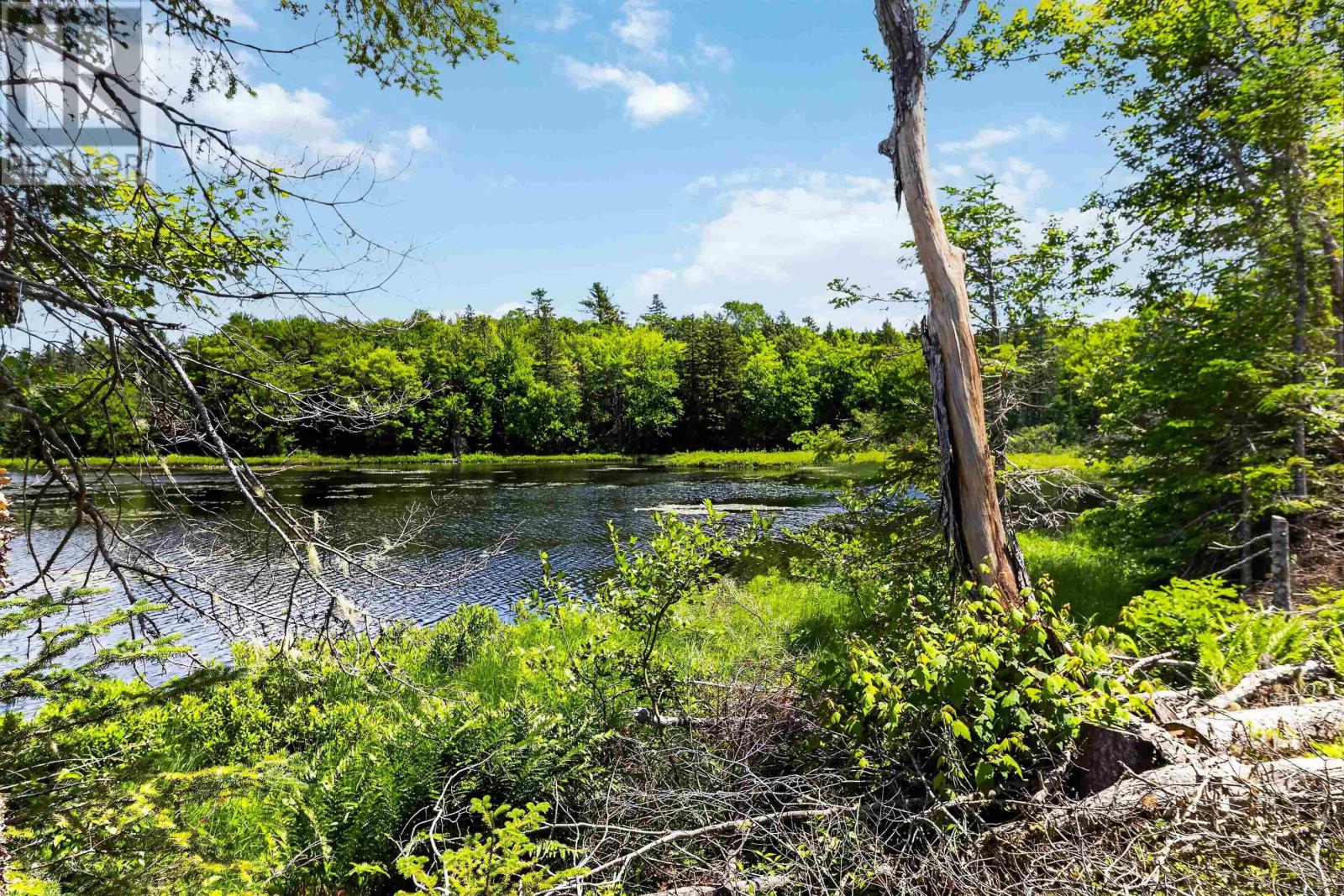 576 New Russell Road, New Ross, Nova Scotia  B0J 2M0 - Photo 20 - 202616816