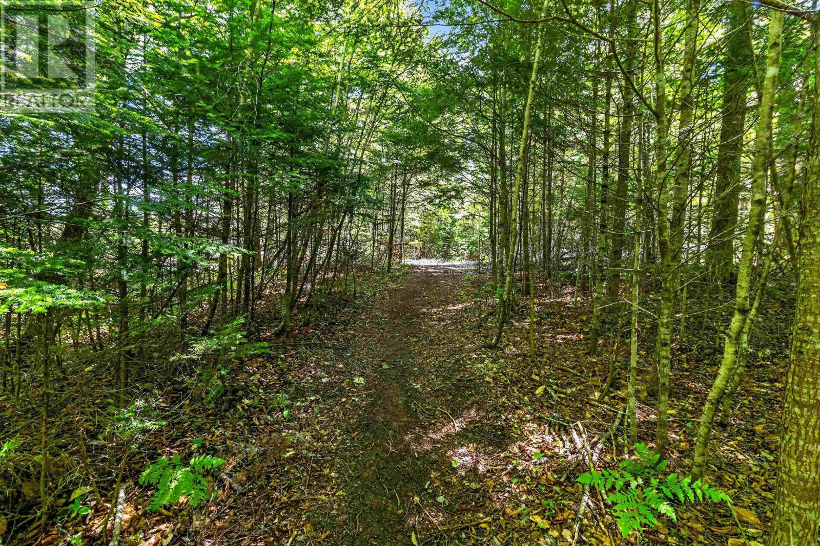 576 New Russell Road, New Ross, Nova Scotia  B0J 2M0 - Photo 24 - 202616816