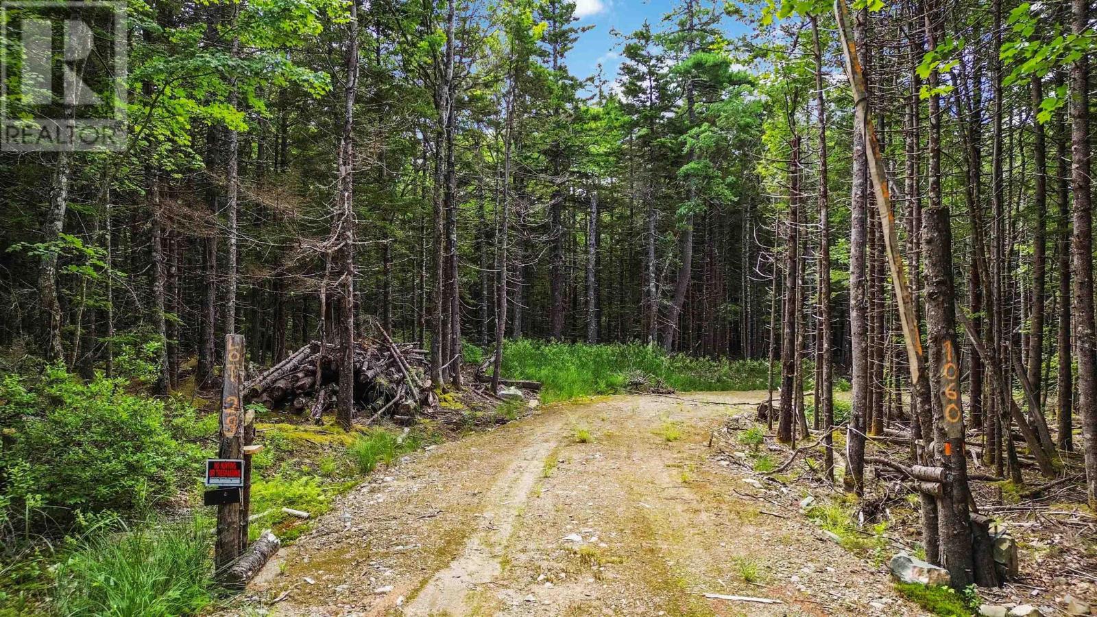 Lot 29 Boutilier Branch Road, Kemptville, Nova Scotia  B0W 1Y0 - Photo 2 - 202616890
