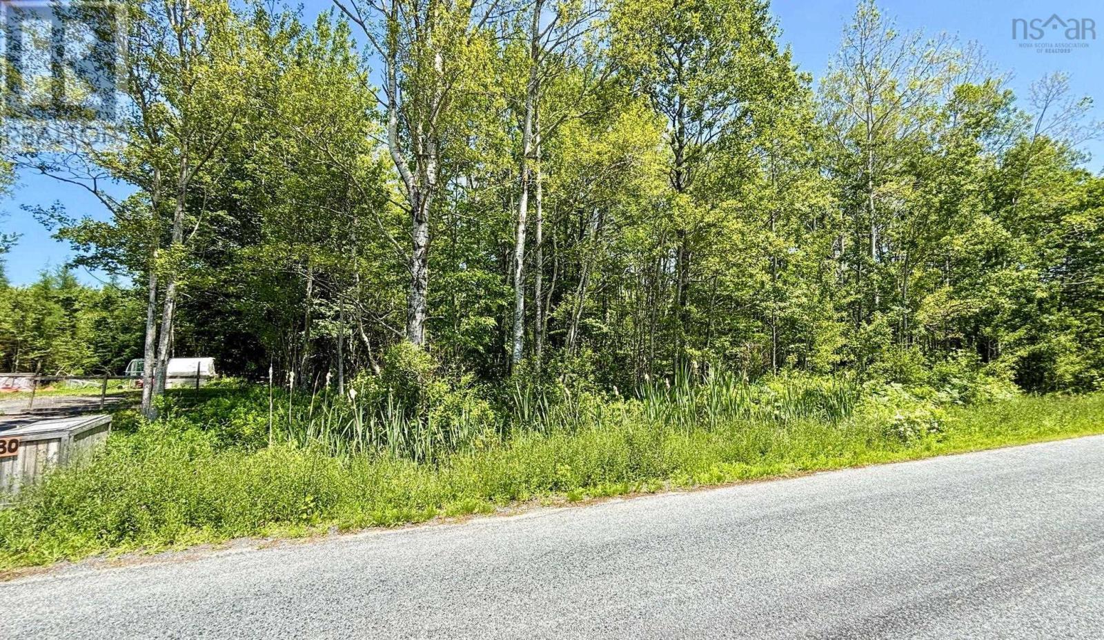Lot C Highway 215, Bramber, Nova Scotia  B0N 2A0 - Photo 4 - 202616985