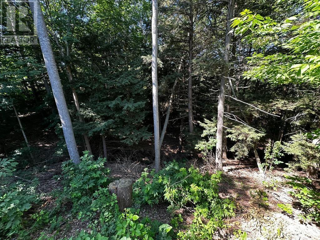 339 Highbury School Road, Canaan, Nova Scotia  B4N 4K1 - Photo 31 - 202617322