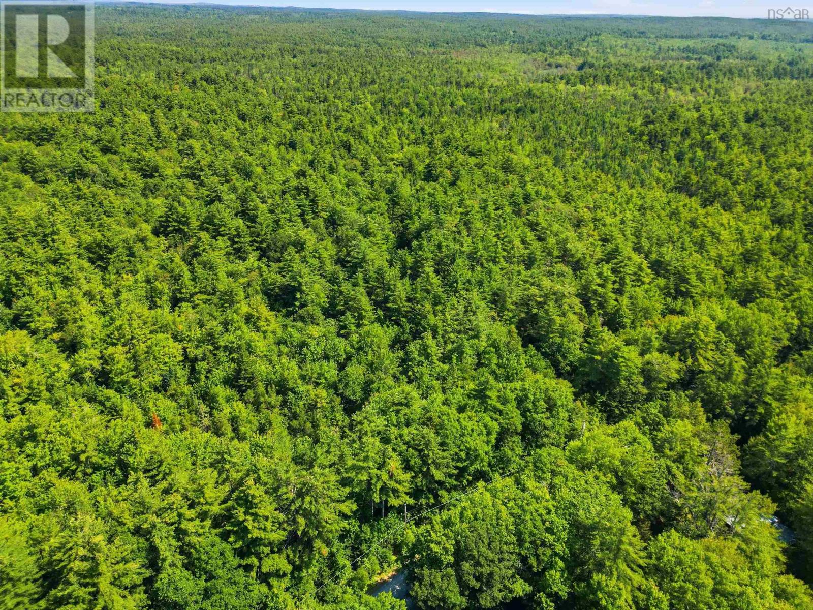 Lot Pid70115290 Medway River Road, Riversdale, Nova Scotia  B0J 2H0 - Photo 5 - 202617340