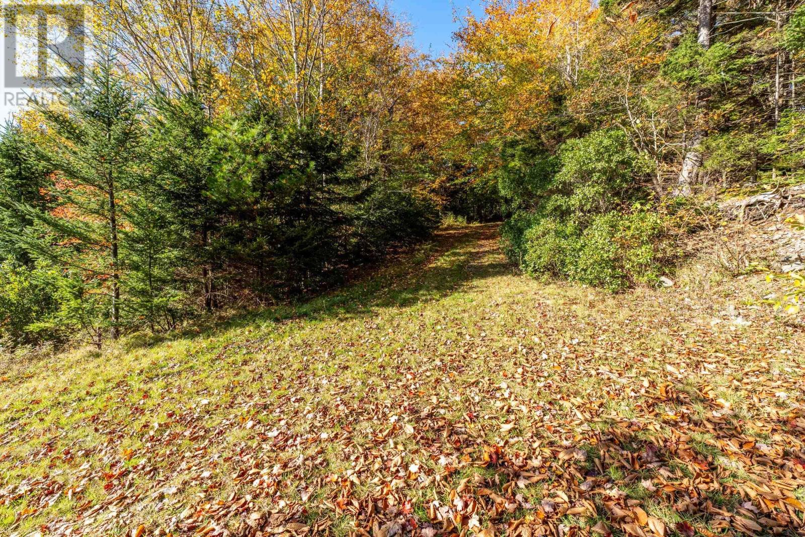 85 Bartlett Lake Lane, Grosses Coques, Nova Scotia  B0W 1M0 - Photo 3 - 202617697