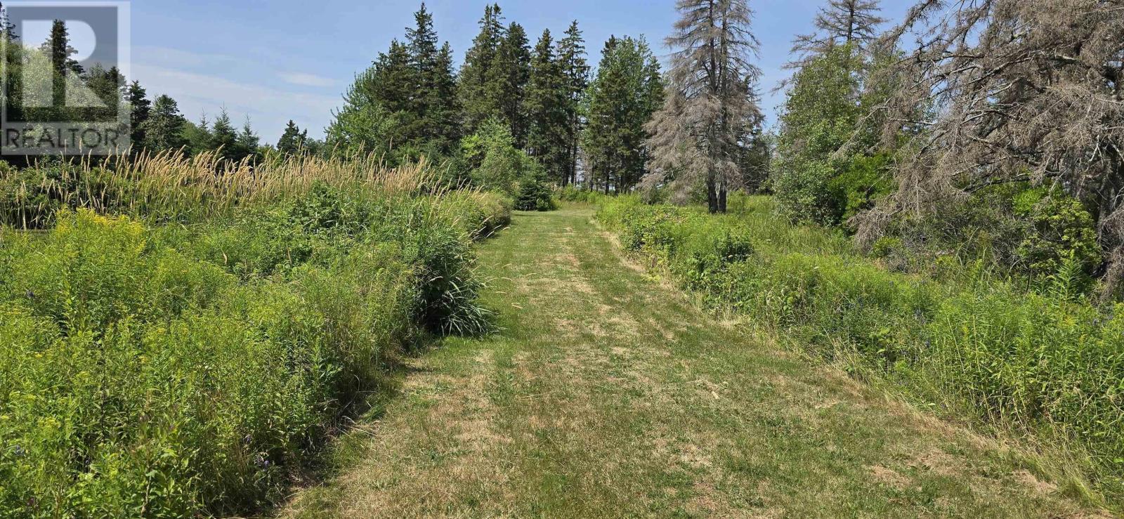 Lot 2007-1 Gulf Shore Road, Gulf Shore, Nova Scotia  B0K 1L0 - Photo 10 - 202617747