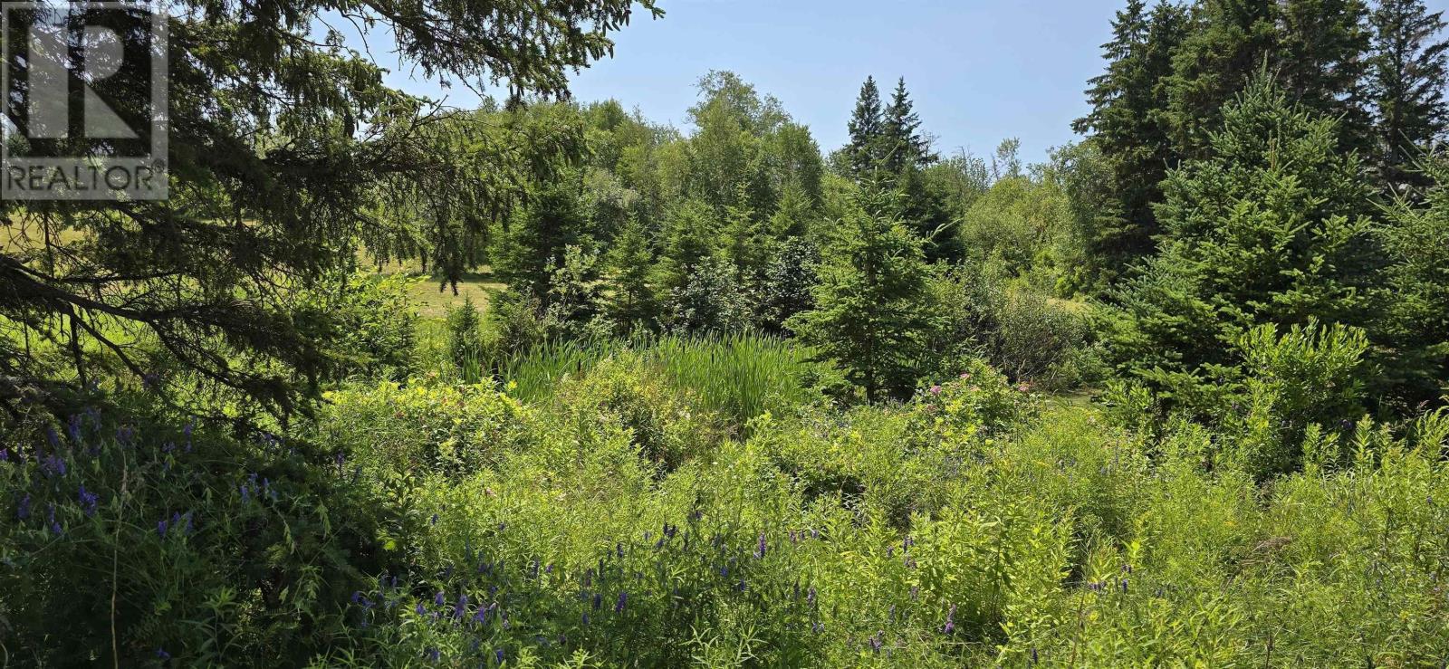 Lot 2007-1 Gulf Shore Road, Gulf Shore, Nova Scotia  B0K 1L0 - Photo 11 - 202617747