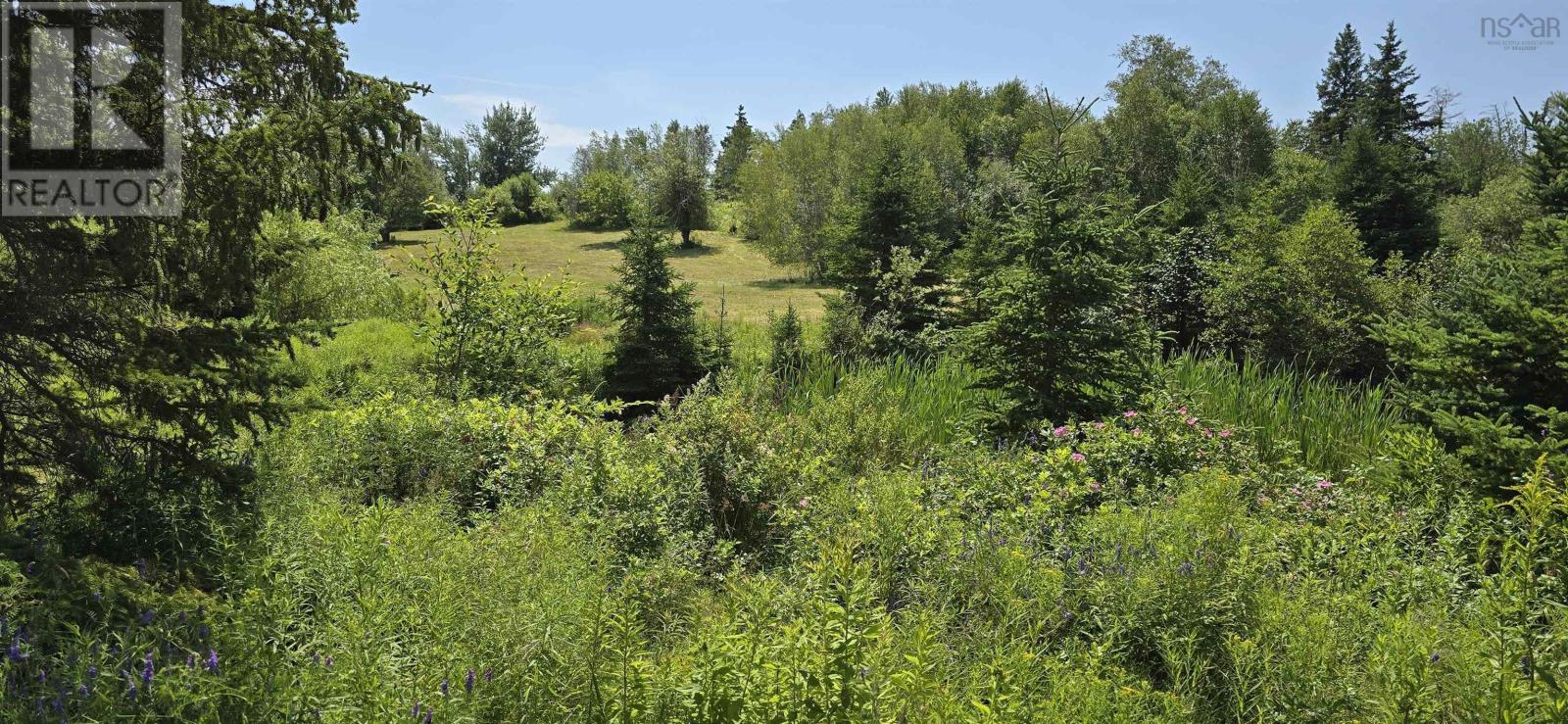 Lot 2007-1 Gulf Shore Road, Gulf Shore, Nova Scotia  B0K 1L0 - Photo 12 - 202617747
