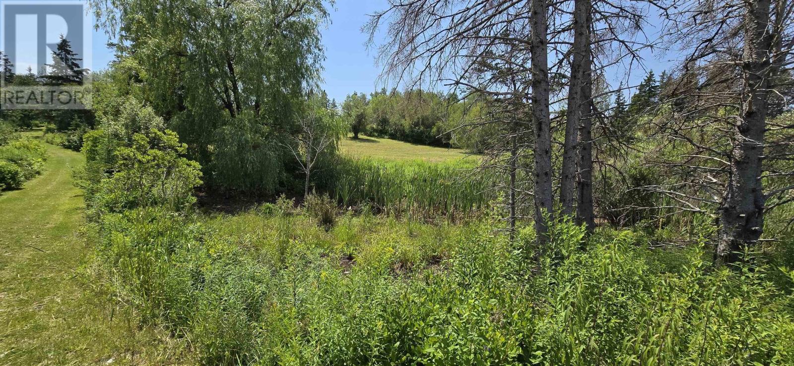 Lot 2007-1 Gulf Shore Road, Gulf Shore, Nova Scotia  B0K 1L0 - Photo 14 - 202617747