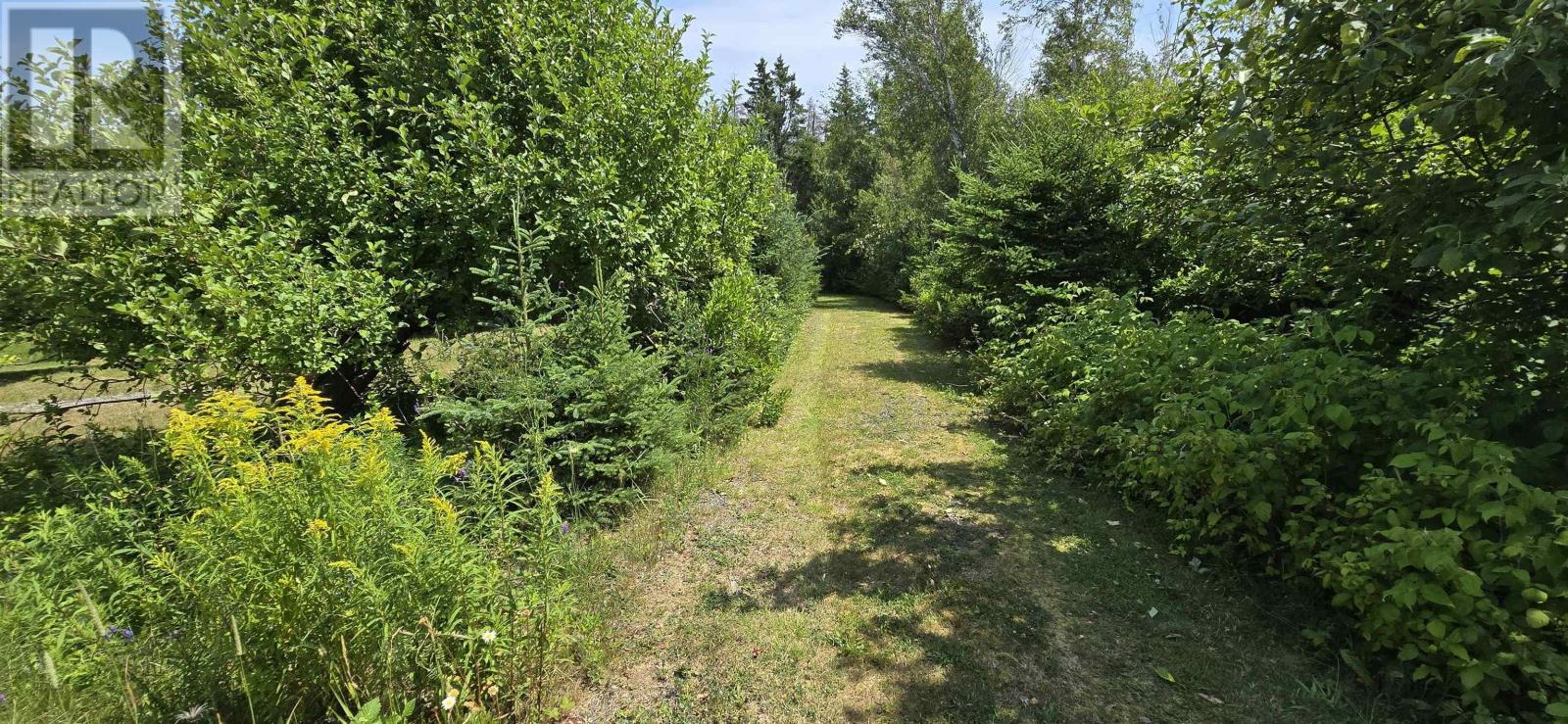 Lot 2007-1 Gulf Shore Road, Gulf Shore, Nova Scotia  B0K 1L0 - Photo 17 - 202617747