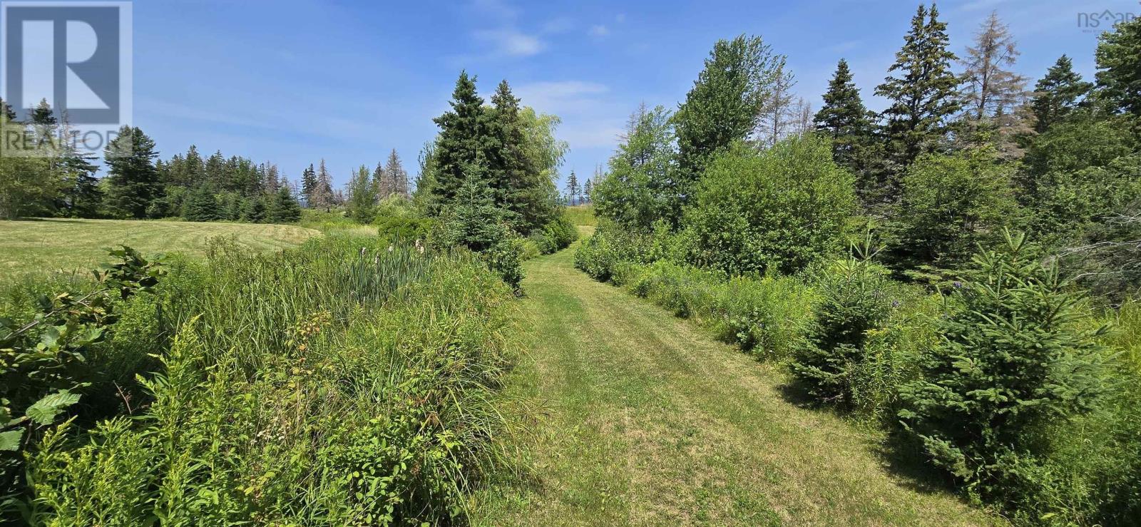 Lot 2007-1 Gulf Shore Road, Gulf Shore, Nova Scotia  B0K 1L0 - Photo 18 - 202617747