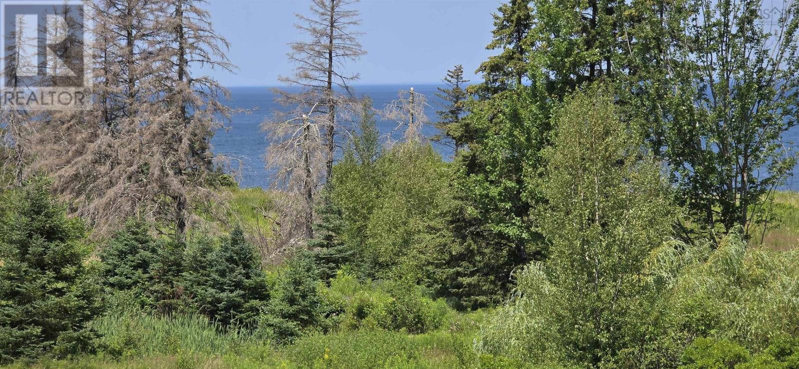 Lot 2007-1 Gulf Shore Road, Gulf Shore, Nova Scotia  B0K 1L0 - Photo 23 - 202617747