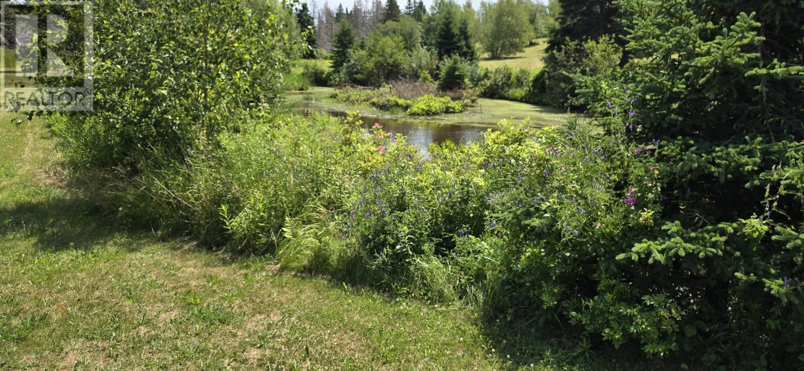Lot 2007-1 Gulf Shore Road, Gulf Shore, Nova Scotia  B0K 1L0 - Photo 6 - 202617747