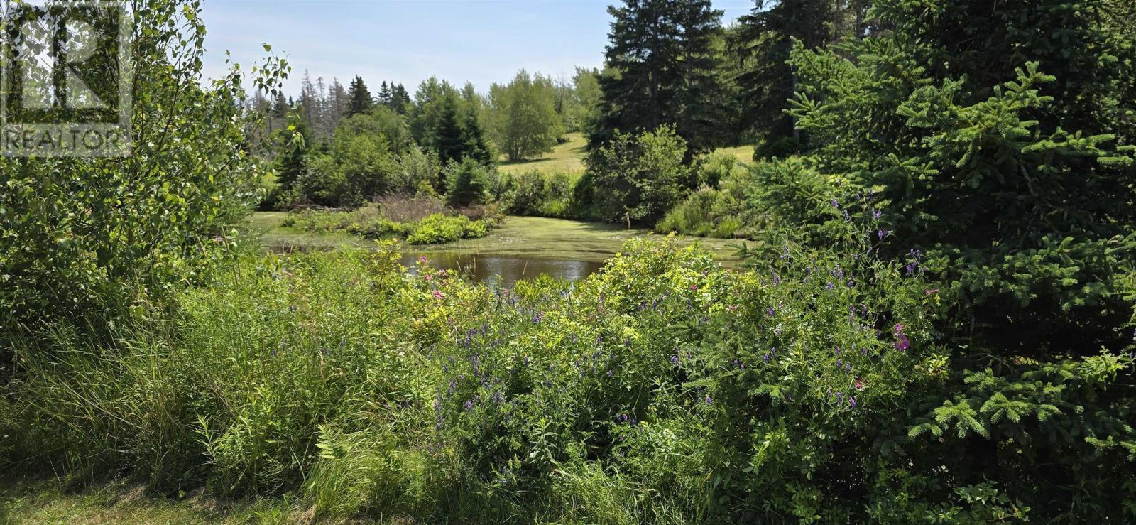 Lot 2007-1 Gulf Shore Road, Gulf Shore, Nova Scotia  B0K 1L0 - Photo 7 - 202617747