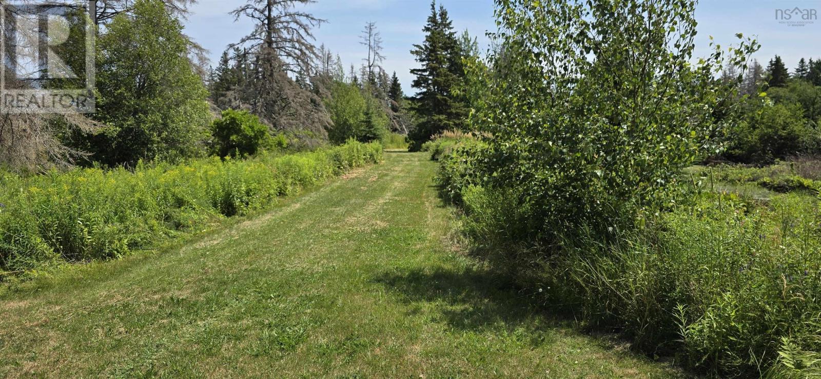Lot 2007-1 Gulf Shore Road, Gulf Shore, Nova Scotia  B0K 1L0 - Photo 8 - 202617747