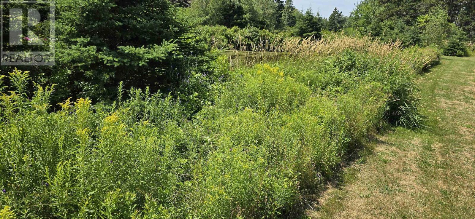 Lot 2007-1 Gulf Shore Road, Gulf Shore, Nova Scotia  B0K 1L0 - Photo 9 - 202617747