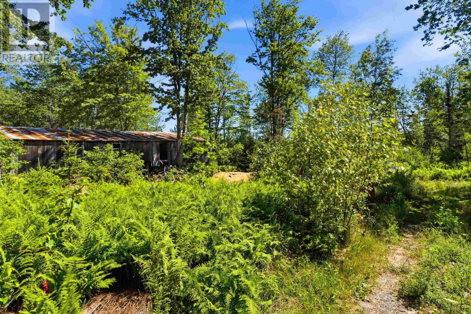552 Beaconsfield Road, Beaconsfield, Nova Scotia  B0S 1C0 - Photo 15 - 202618112