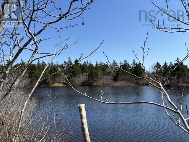 2022a Peajack Road, Westport, Nova Scotia  B0V 1H0 - Photo 12 - 202618133