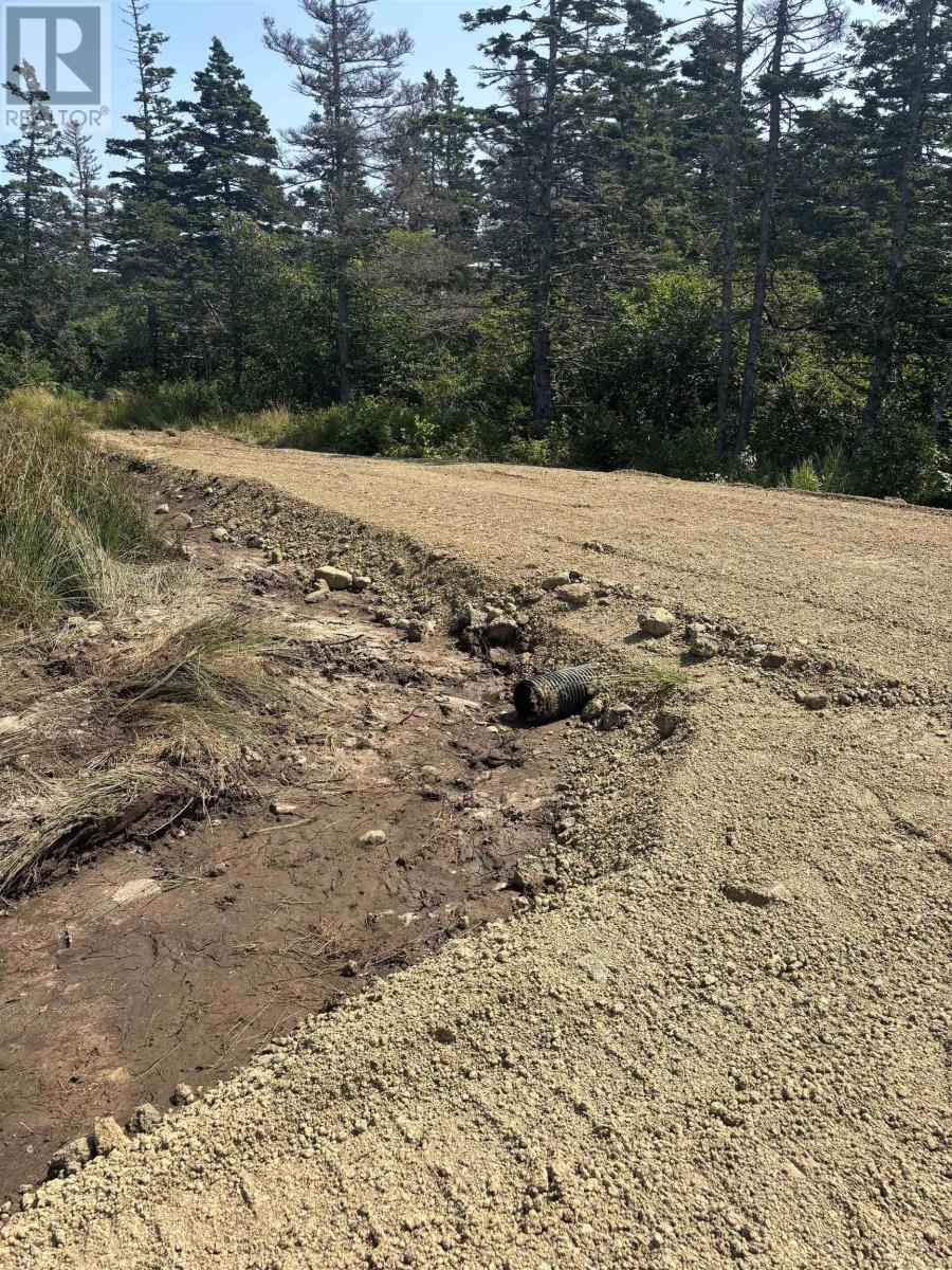 2022a Peajack Road, Westport, Nova Scotia  B0V 1H0 - Photo 6 - 202618133