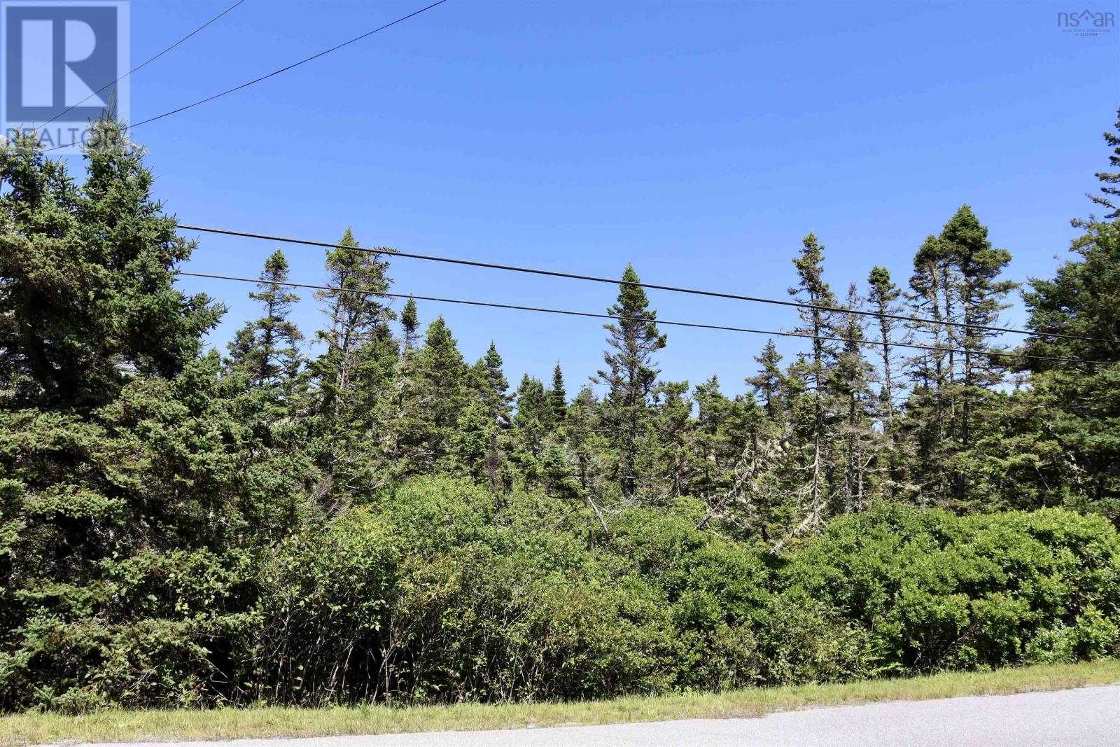 Lot 16 Stoney Island Road, Centreville, Nova Scotia  B0W 3J0 - Photo 3 - 202618149