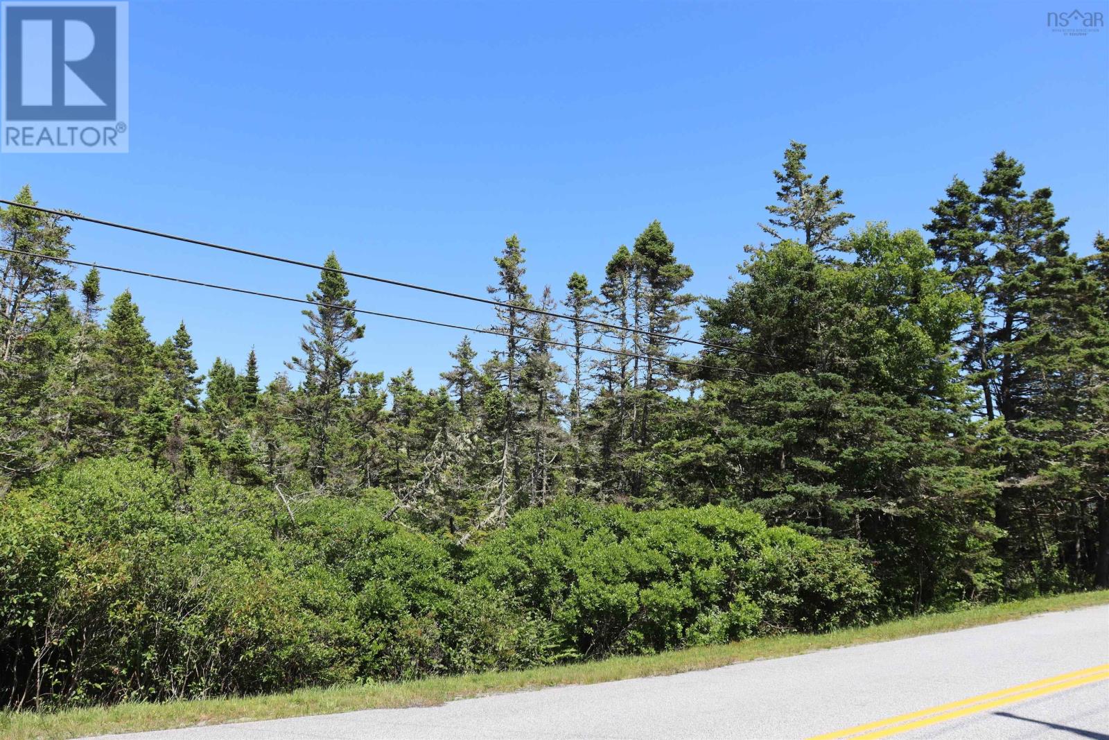 Lot 16 Stoney Island Road, Centreville, Nova Scotia  B0W 3J0 - Photo 4 - 202618149