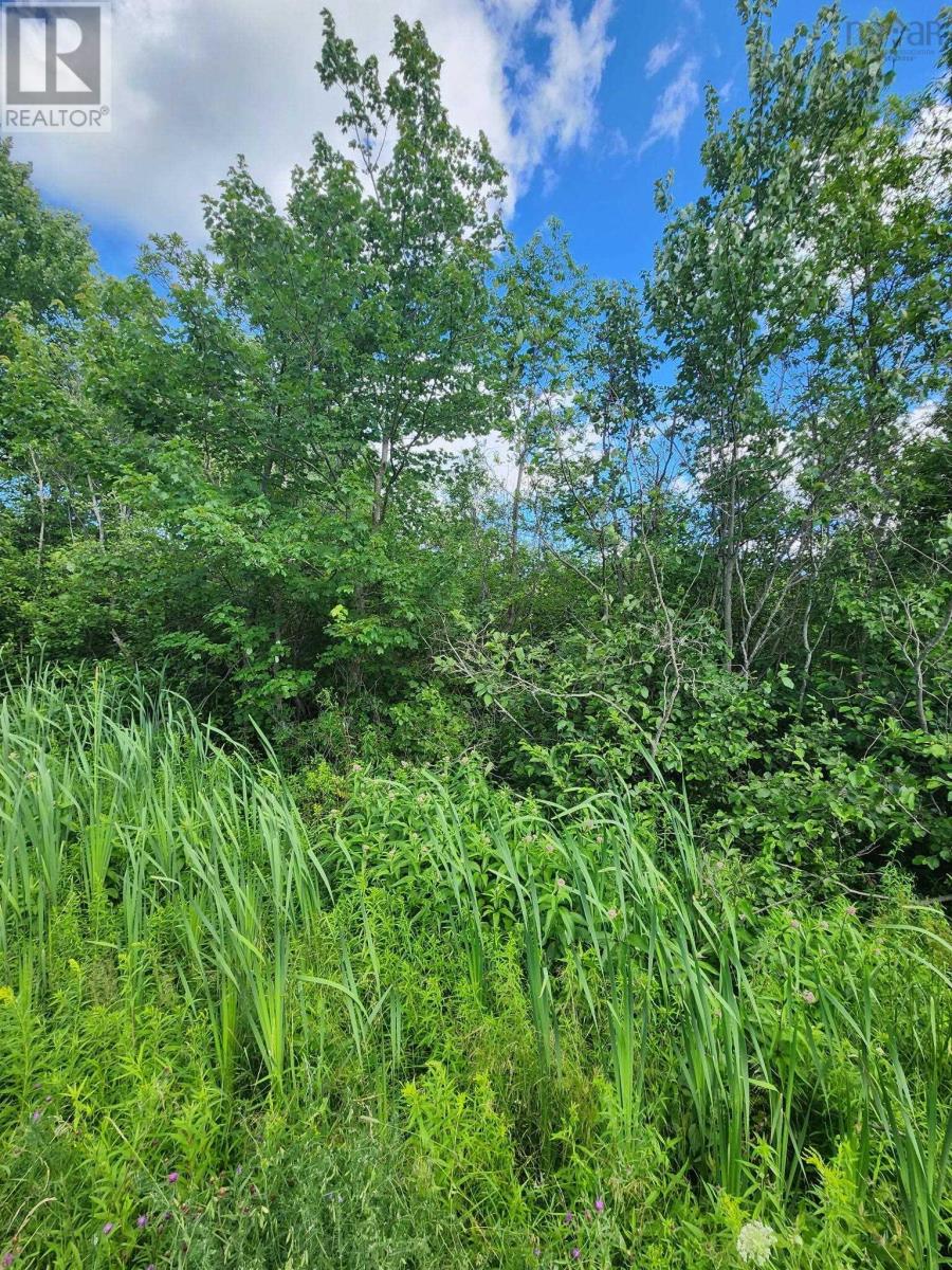 Lot Highway 236, Kennetcook, Nova Scotia  B0N 1P0 - Photo 4 - 202618168