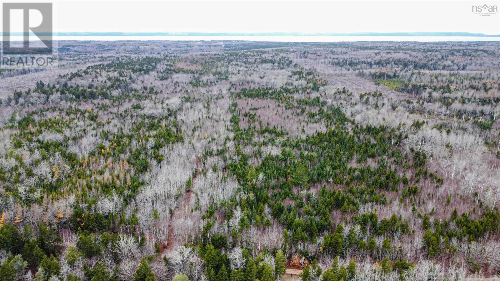 Old North Range Road, Ashmore, Nova Scotia  B0W 3T0 - Photo 2 - 202618223