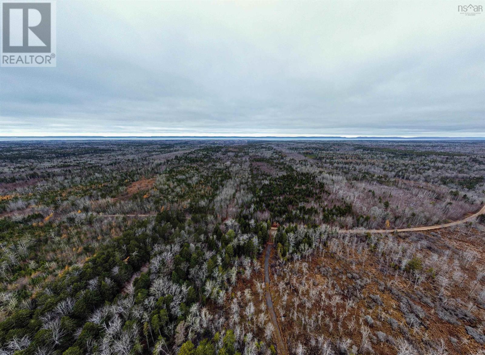 Old North Range Road, Ashmore, Nova Scotia  B0W 3T0 - Photo 3 - 202618223
