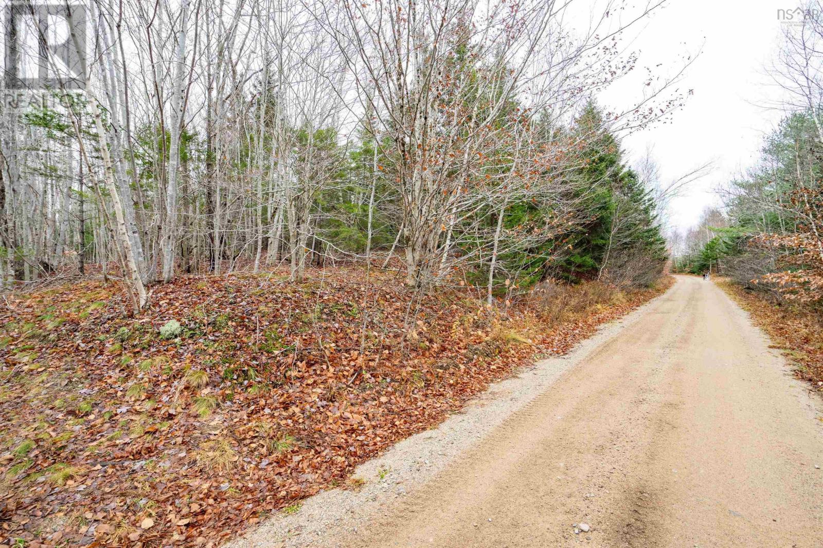 Old North Range Road, Ashmore, Nova Scotia  B0W 3T0 - Photo 5 - 202618223