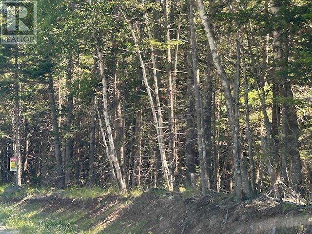 Lot 4 890 West Side Loch Lomond Road, Loch Lomond, Nova Scotia  B0A 1H0 - Photo 2 - 202618236