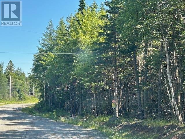 Lot 4 890 West Side Loch Lomond Road, Loch Lomond, Nova Scotia  B0A 1H0 - Photo 3 - 202618236
