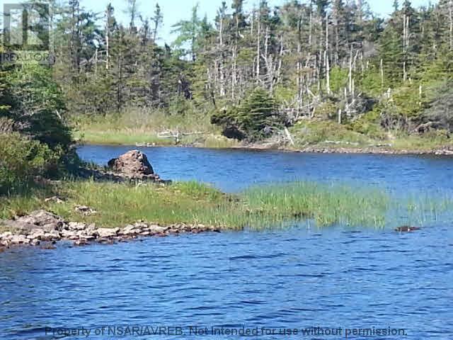 Lot 14 East Side Grand River Road, Grand River, Nova Scotia  B0E 1M0 - Photo 14 - 202618237