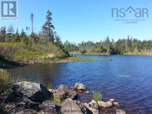 Lot 14 East Side Grand River Road, Grand River, Nova Scotia  B0E 1M0 - Photo 15 - 202618237