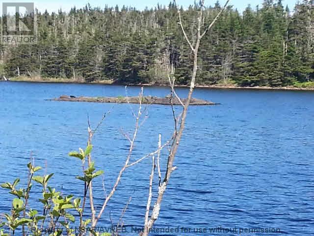 Lot 14 East Side Grand River Road, Grand River, Nova Scotia  B0E 1M0 - Photo 16 - 202618237