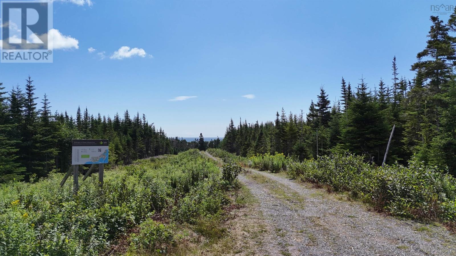 Lot 14 East Side Grand River Road, Grand River, Nova Scotia  B0E 1M0 - Photo 2 - 202618237