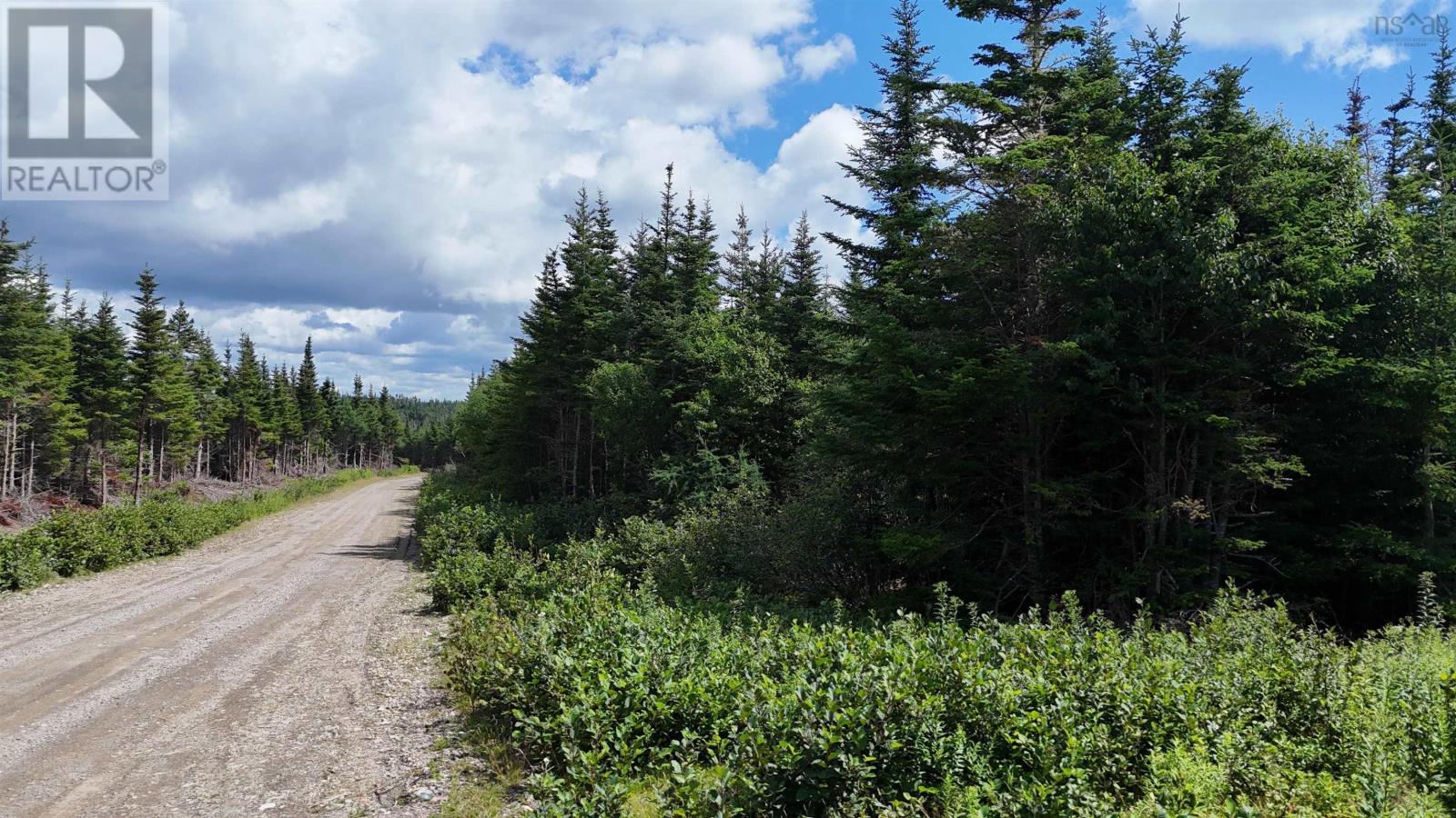 Lot 14 East Side Grand River Road, Grand River, Nova Scotia  B0E 1M0 - Photo 3 - 202618237