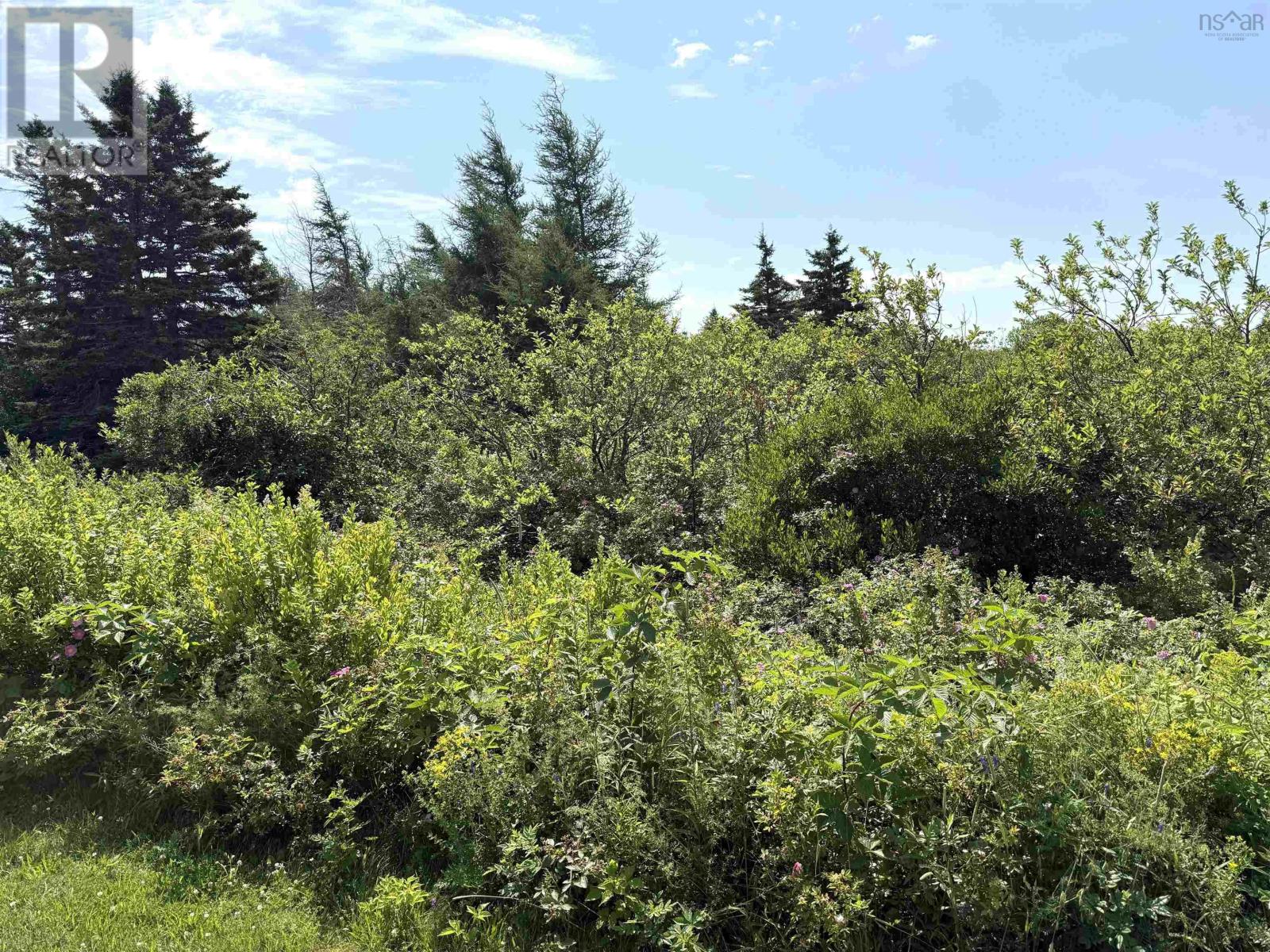 Lot 32 Elderberry Drive, Malagash Point, Nova Scotia  B0K 1E0 - Photo 3 - 202618324