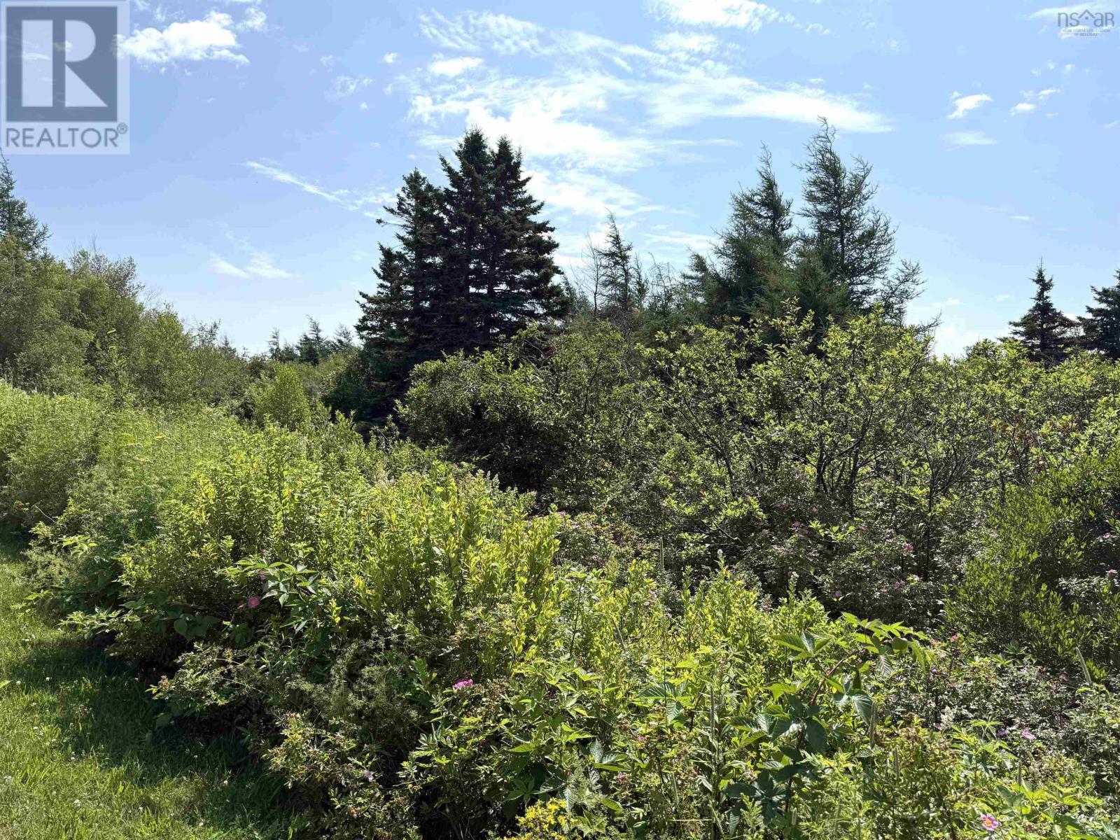 Lot 32 Elderberry Drive, Malagash Point, Nova Scotia  B0K 1E0 - Photo 4 - 202618324