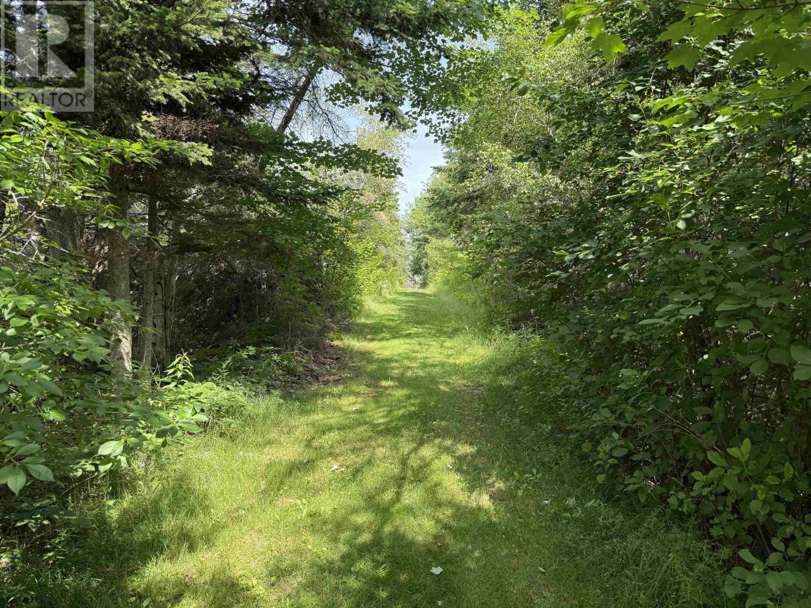 Lot 32 Elderberry Drive, Malagash Point, Nova Scotia  B0K 1E0 - Photo 9 - 202618324