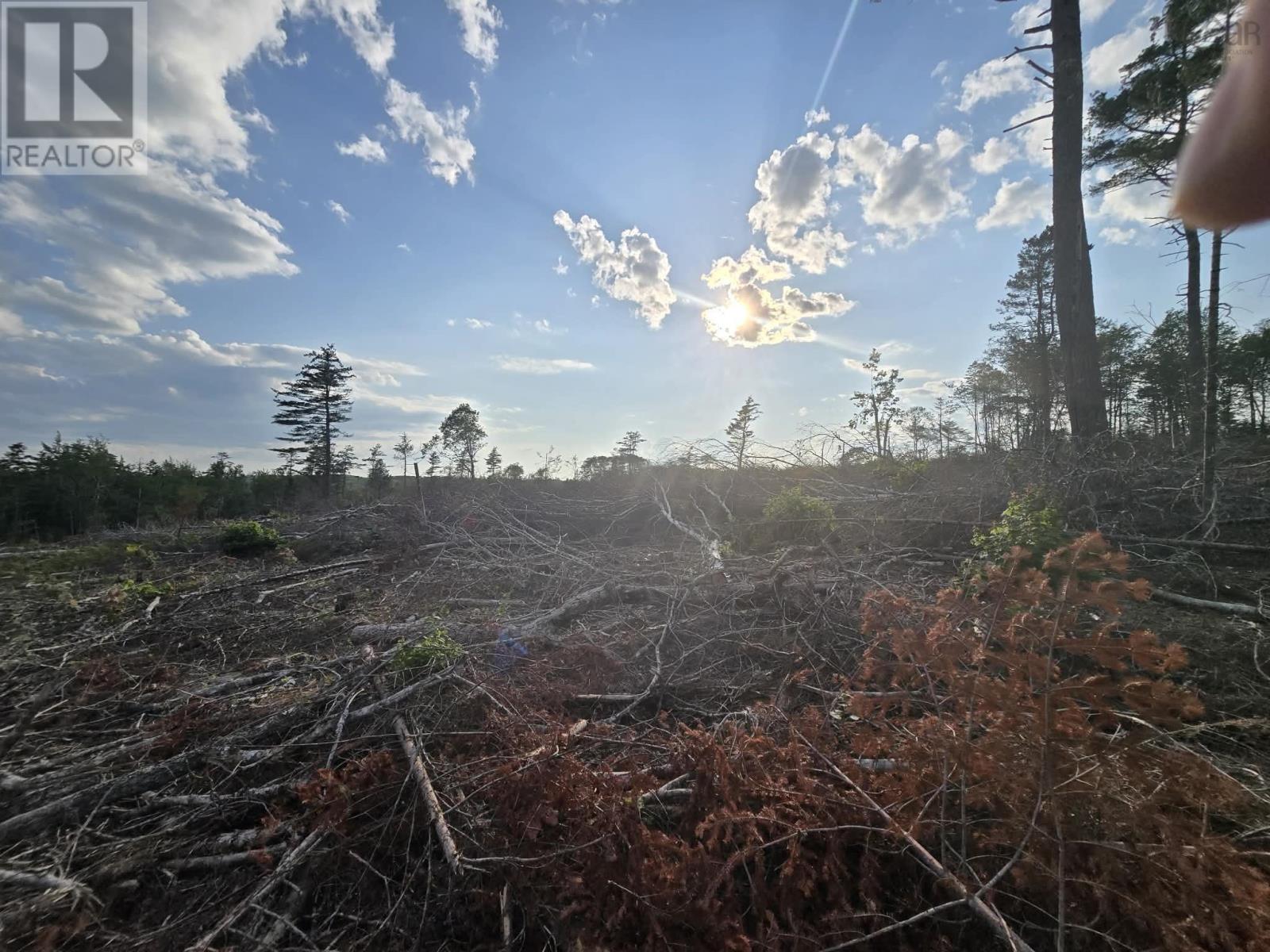 Lot 1 Stark Road, Newport Station, Nova Scotia  B0N 2T0 - Photo 11 - 202618661